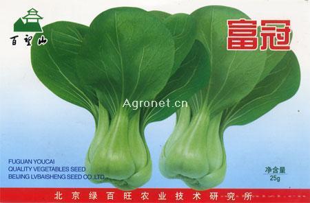 供应富冠—青梗菜种子