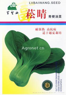供应菘晴青梗油菜—青梗菜种子