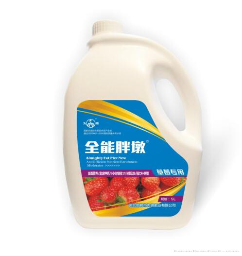 全能胖墩--草莓专用