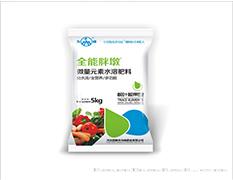 全能胖墩-靓叶靓果型