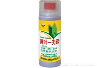 黄叶一天绿