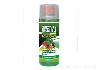 蔬菜产品专用12