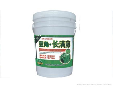 豆角 长满藤