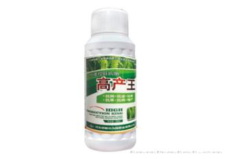 高产王