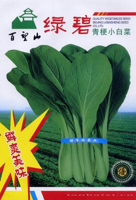 绿碧青梗小白菜—青梗菜种子