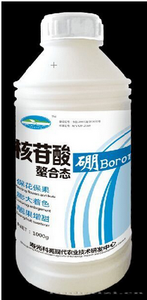 核苷酸硼