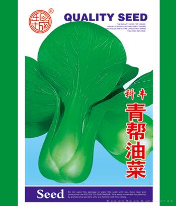 青帮油菜　