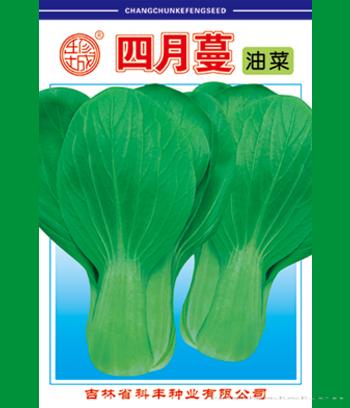 四月蔓　