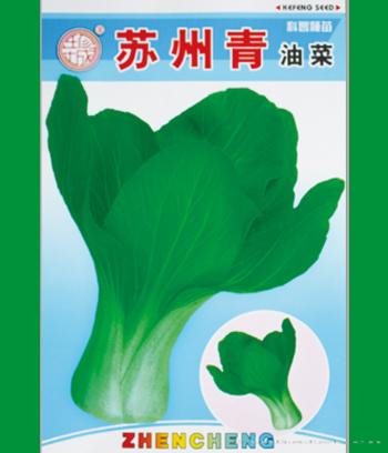 苏州青油菜　