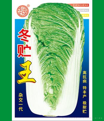 冬贮王　