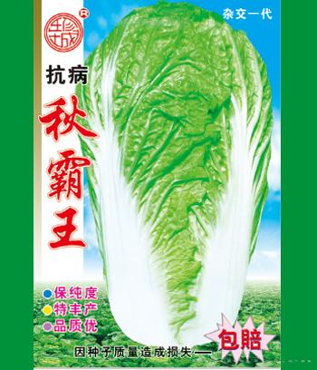 秋霸王　
