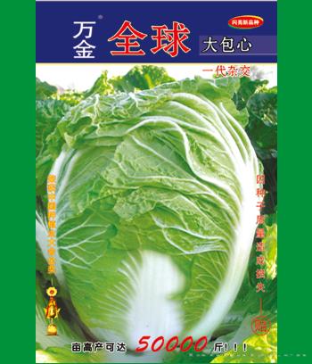 全球　