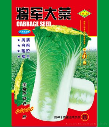 将军大菜　