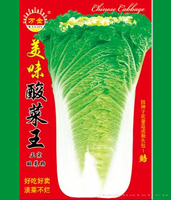 美味酸菜王　