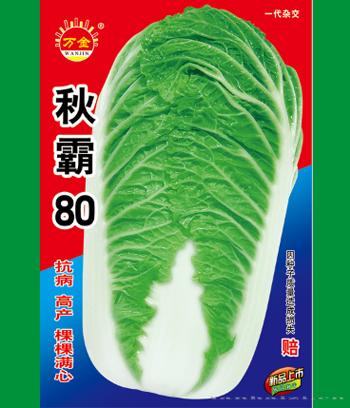 秋霸80　