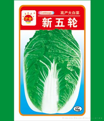 新五轮　
