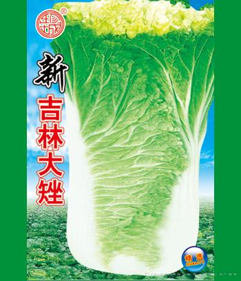 新吉林大矬　