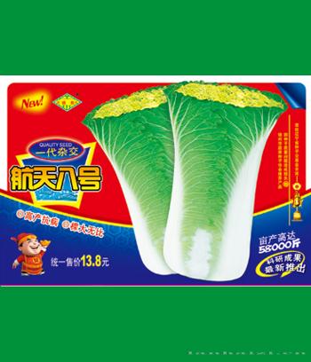 航天八号　