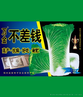 万金不差钱　