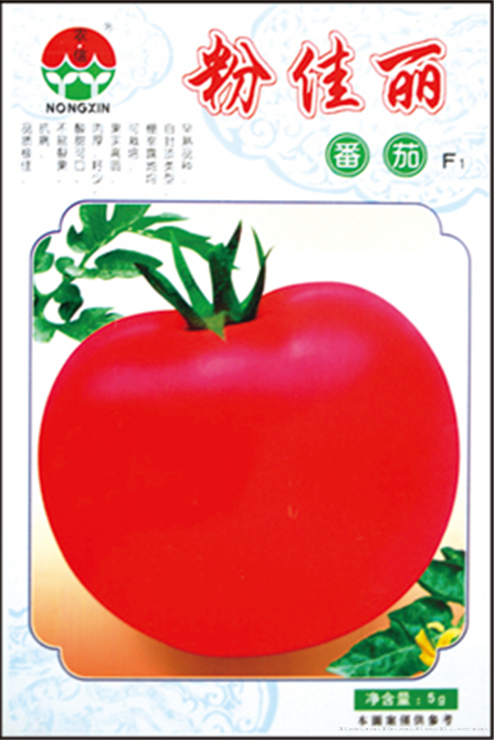 番茄