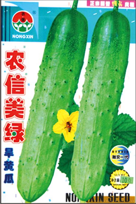 黄瓜种子