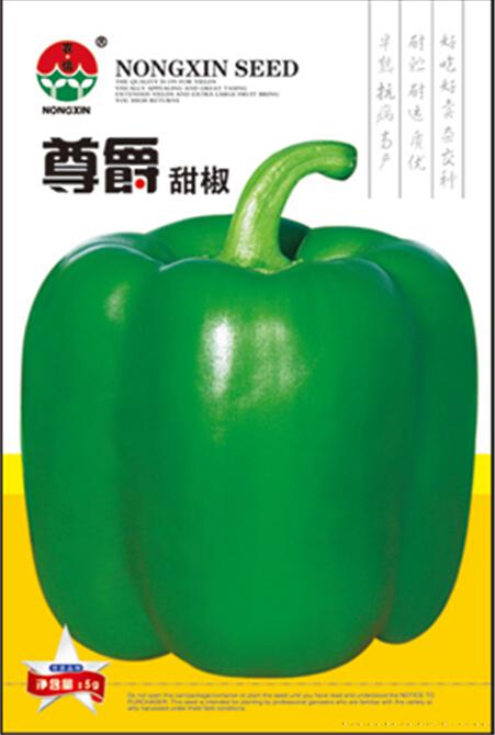 辣椒种子