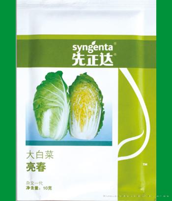 先正达　