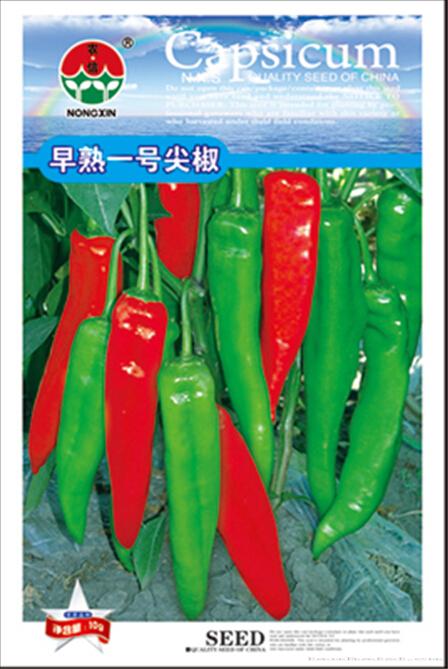 辣椒种子