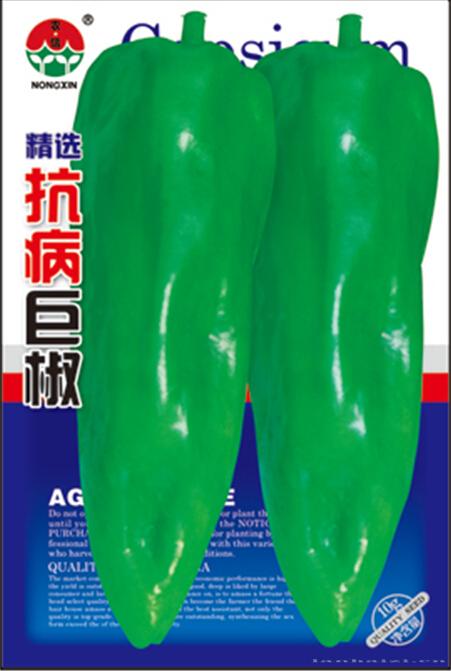辣椒种子