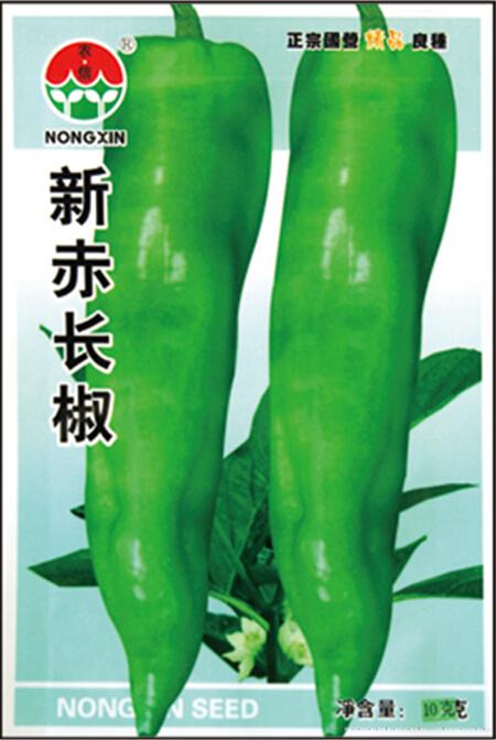 辣椒种子