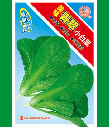 青翠小白菜　