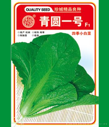 青圆一号　