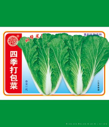 四季打包菜　