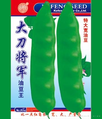大刀将军　