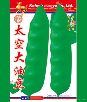 太空大油豆　
