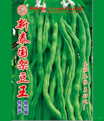 新泰国架豆王　