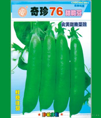 奇珍76　