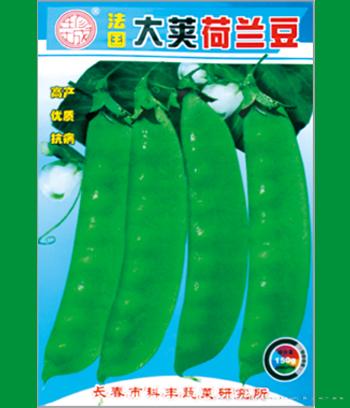 大荚荷兰豆　