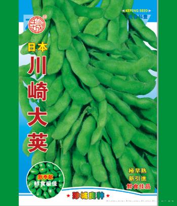 川崎大荚　