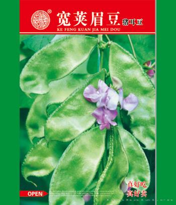 宽荚眉豆　