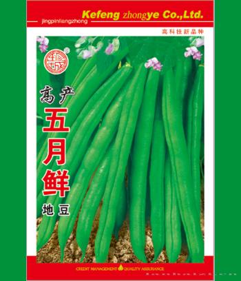 五月鲜　