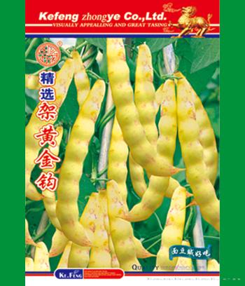 架黄金钩　