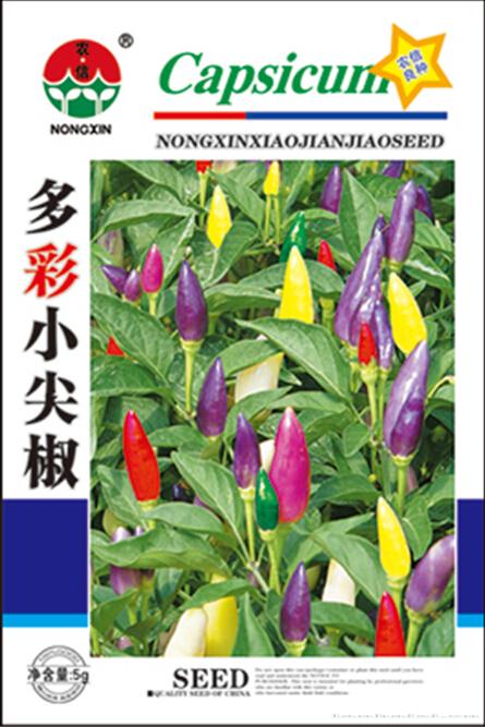 辣椒种子