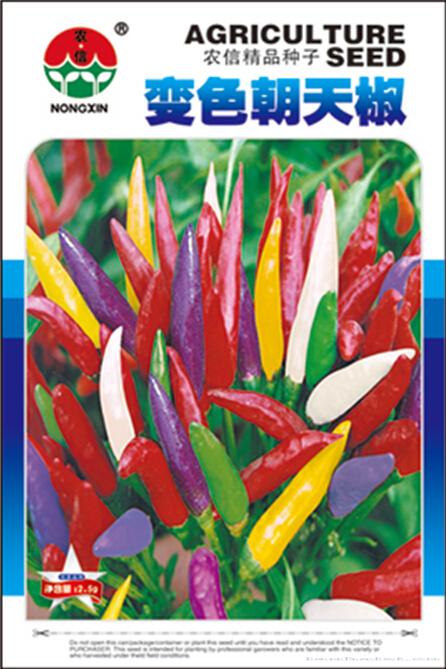 辣椒种子