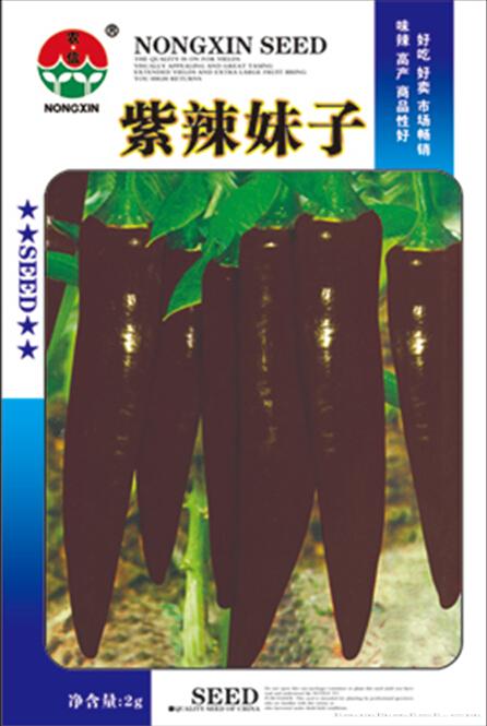 辣椒种子