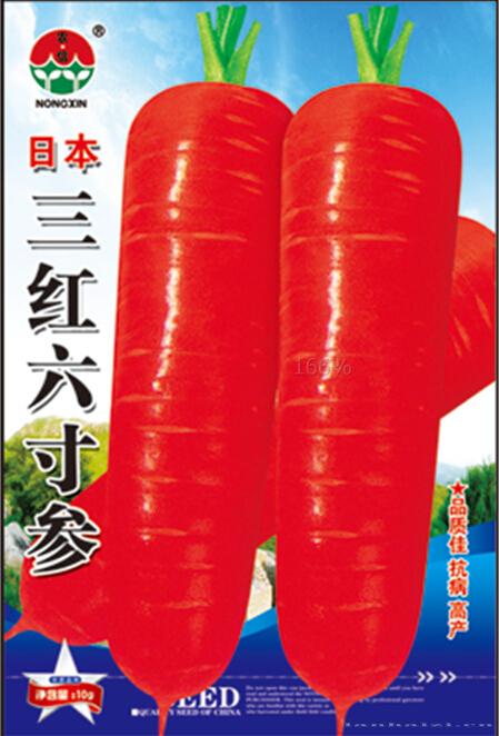 萝卜种子