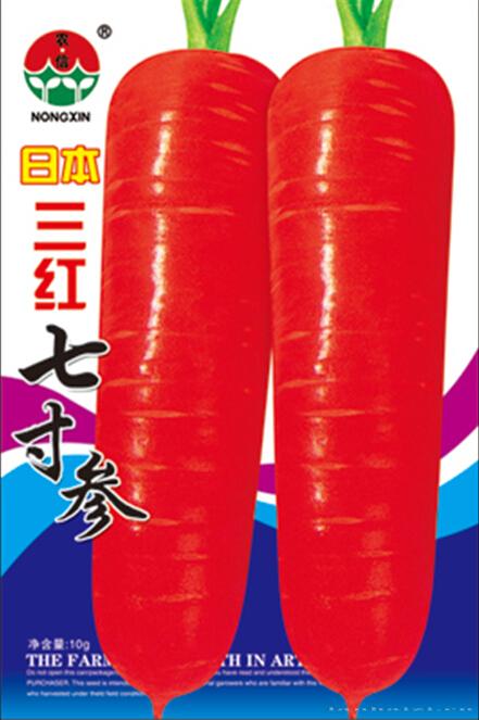 萝卜种子