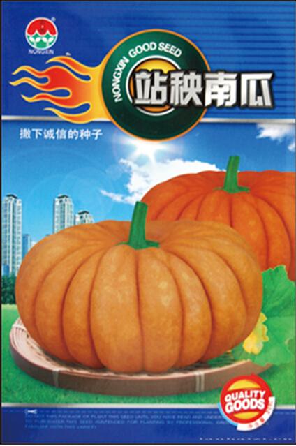 南瓜种子