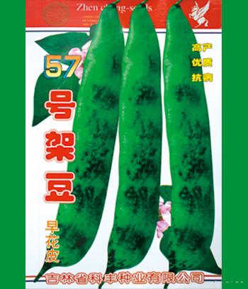 57号架豆　