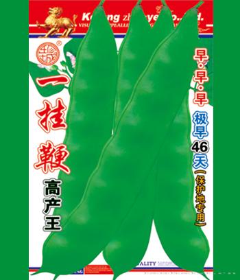 一挂鞭　